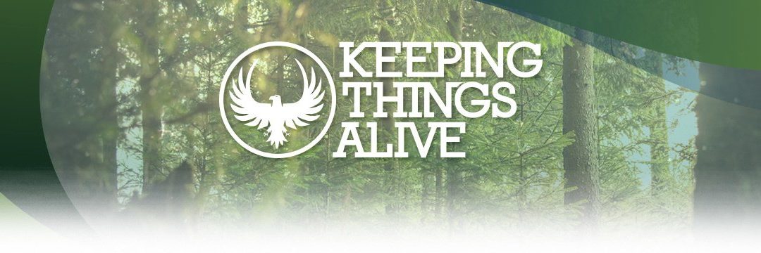 Sarah Baird And Let There Be Light International Featured On “Keeping Things Alive” Podcast