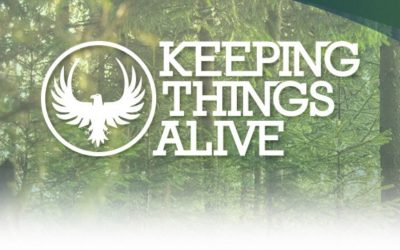 Sarah Baird And Let There Be Light International Featured On “Keeping Things Alive” Podcast