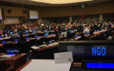 Sustainable Development at the UN