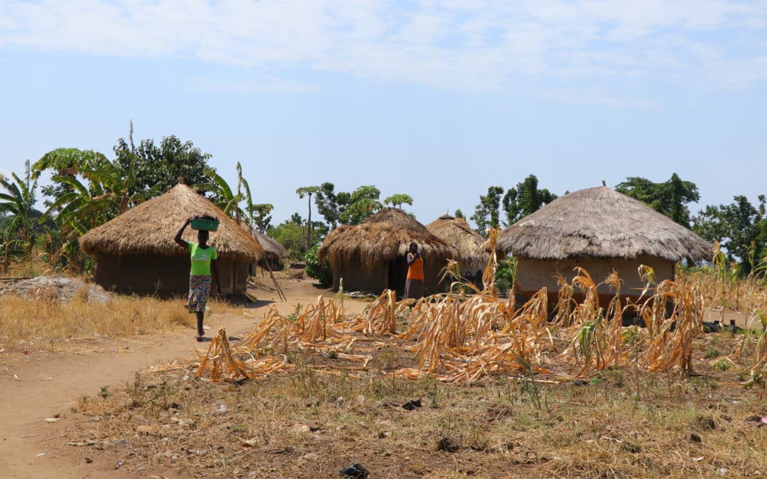 Brightening Lives in Amolatar, Uganda